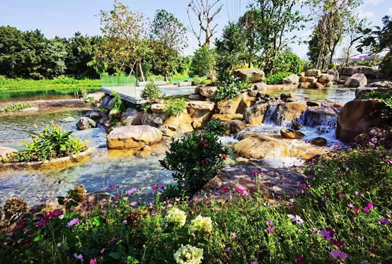 1612691576713726.png image.png