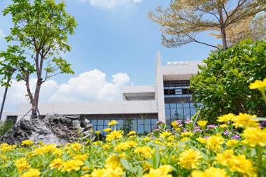 1625478097528822.png image.png