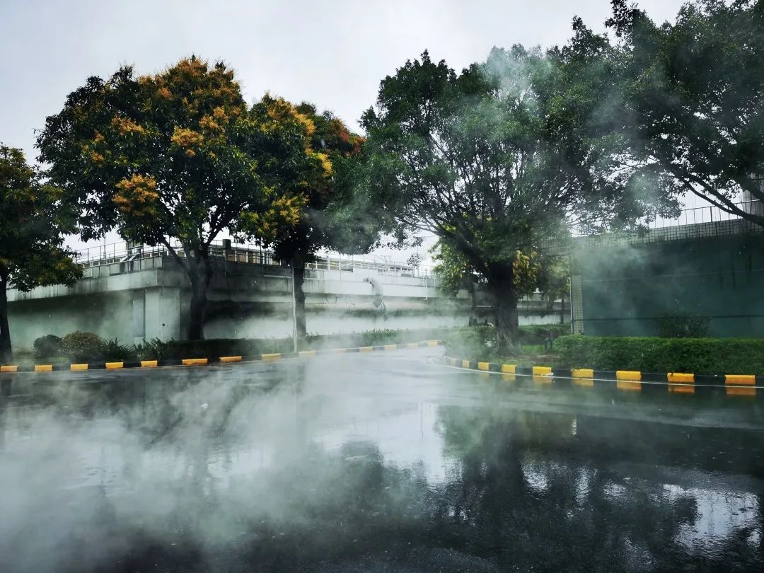 1645705664570127.jpg 58b0ee51fc2698e92f0bb50b35106855.jpg