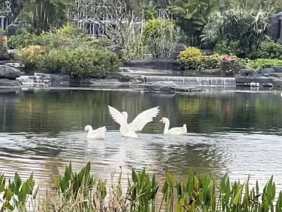 1645706032326430.jpg 612952b417e4cc1d799732cf36a5bdcc.jpg