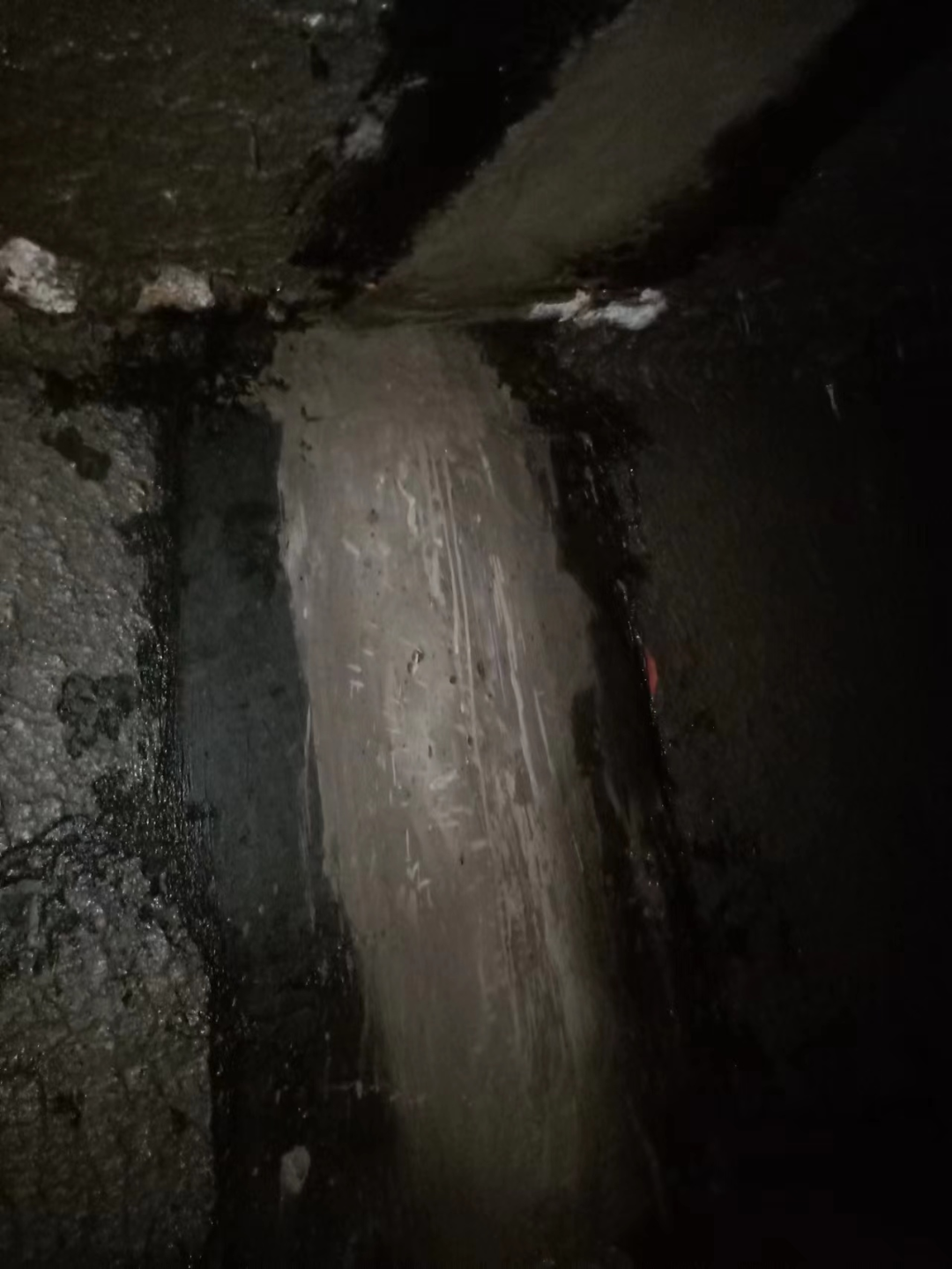 1661930295487919.png 9a0e20d2369d81cf019266d675cfd7c7.png