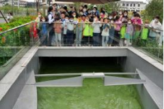 1695613034214126.png image.png